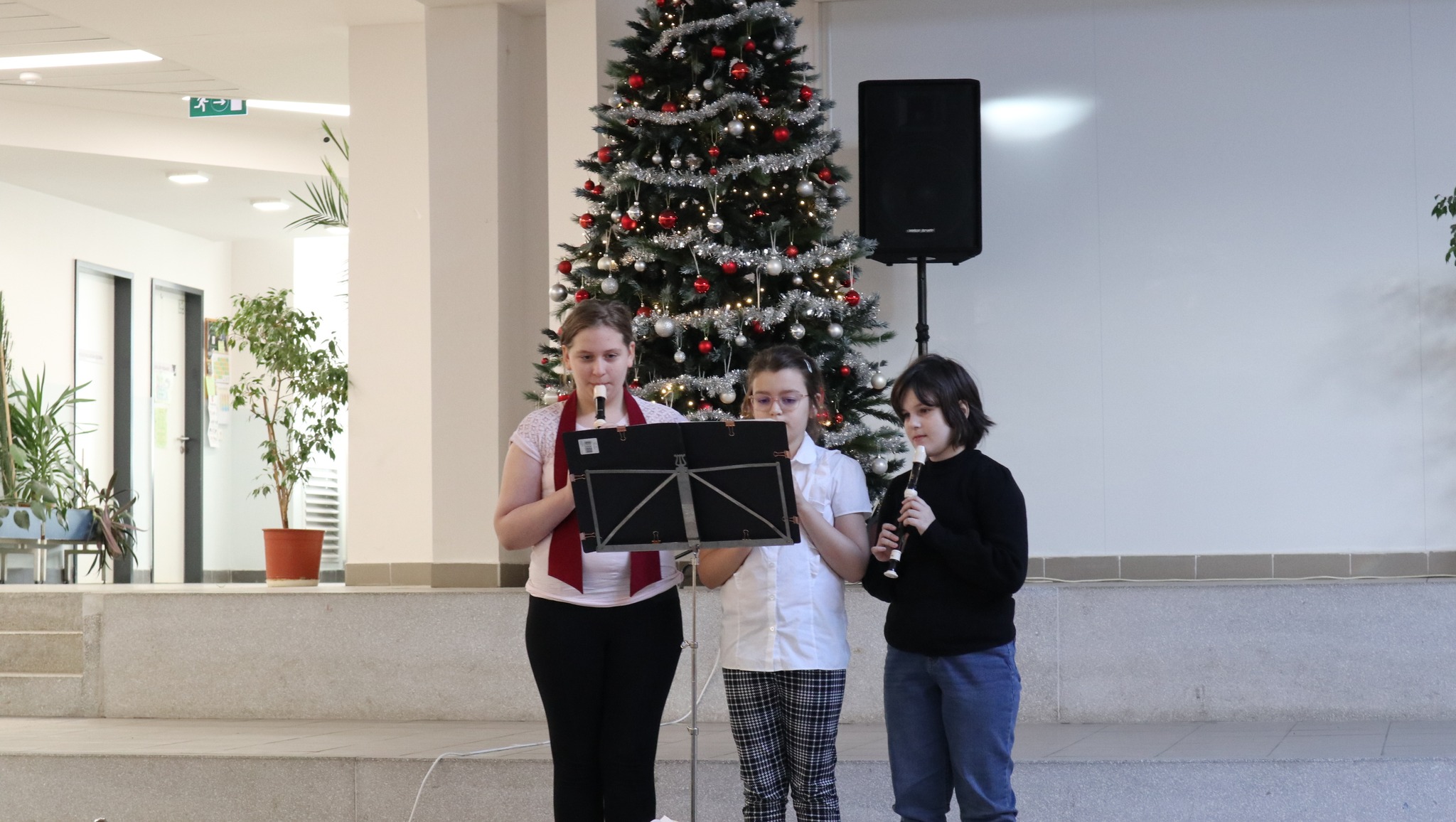 Jelentkezés a Kontrasztok Zeneiskolába