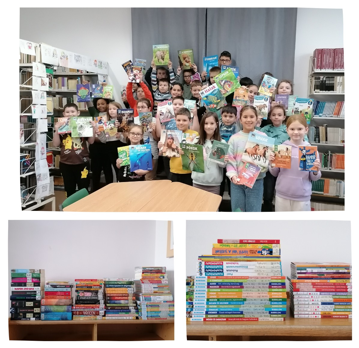 Új kincsek a könyvtárban